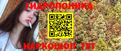 стаф Донской