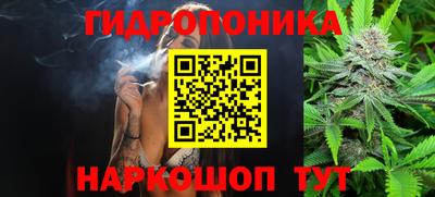 соль ск Дубна