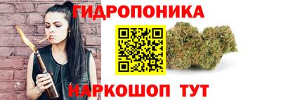 стаф Донской
