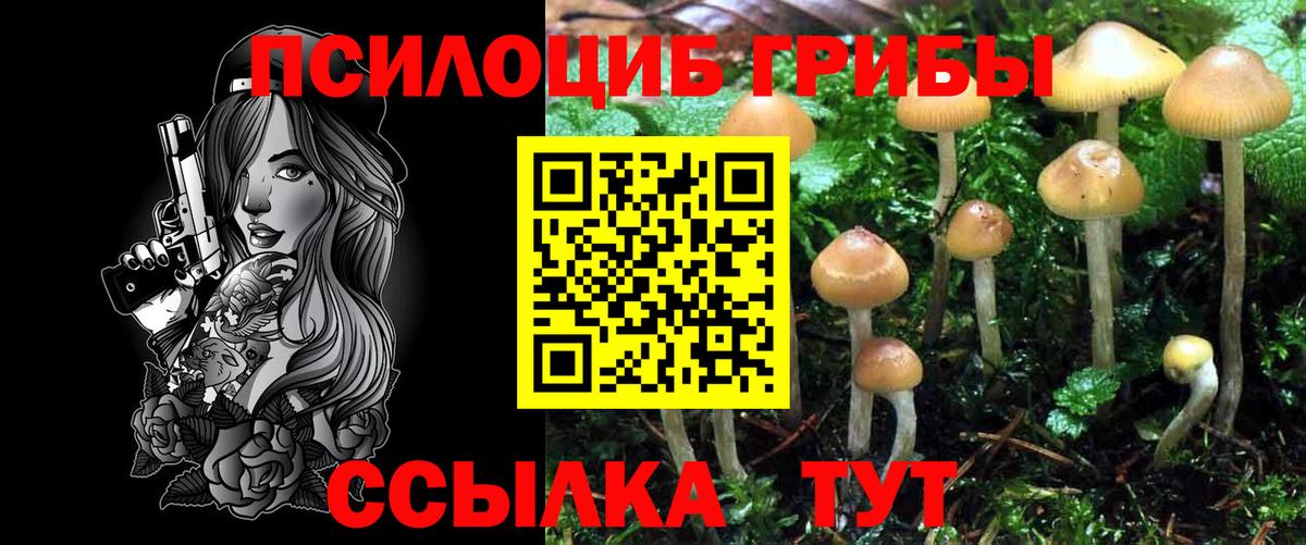 Малоярославец  Галлюциногенные грибы ЛСД  Вход с VPN  Галлюциногенные грибы Psilocybe 